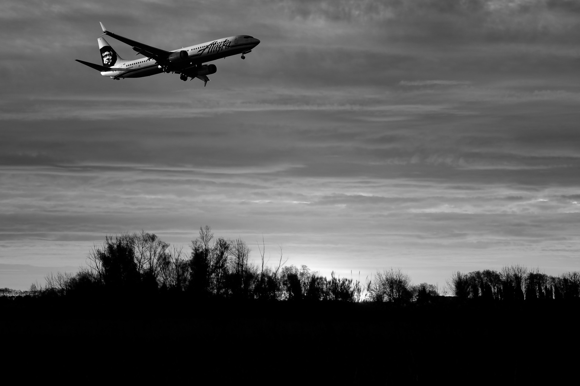 plane flying over trees during sunset